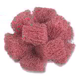 405-051115-33012.jpg